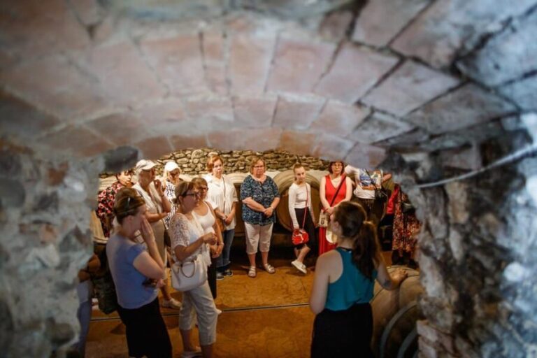 Valeggio: Summer Sips - 3 young wines with guided winery tour. - In Summary