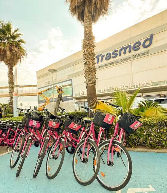 Valencia: Bike Tour and Tapas for Cruise Passenger - Who Should Consider This Tour?