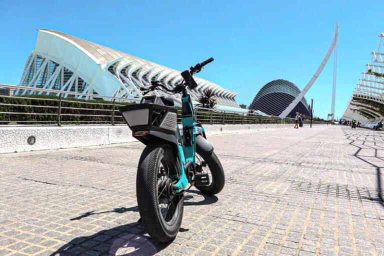 Valencia: E-bike Tour, Beaches, & City of Arts and Sciences - Itinerary Breakdown: What You Can Expect