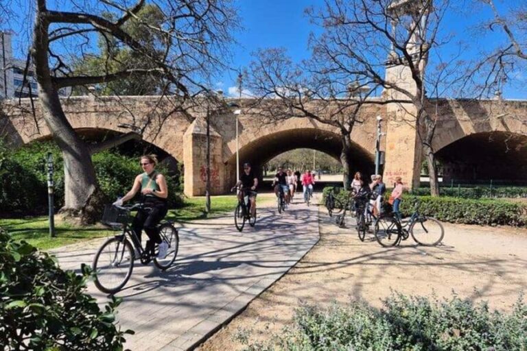 Valencia Electric Bike Tour: Self-Guided Half-Day Experience - What You Can Expect from the Valencia E-Bike Tour