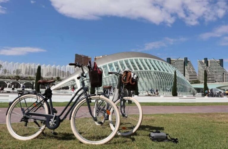 Valencia: Full-Day E-Bike Rental (9:30AM20:00PM) - Who is this experience best suited for?