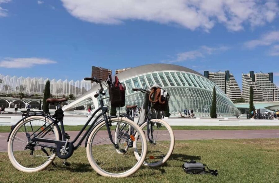 Valencia: Full-Day E-Bike Rental (9:30AM20:00PM) - Who is this experience best suited for?