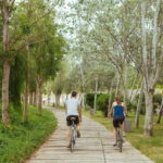 Valencia Parks: Private Tour on Bicycle, E-Bike or E-Step - What to Expect During Your Ride