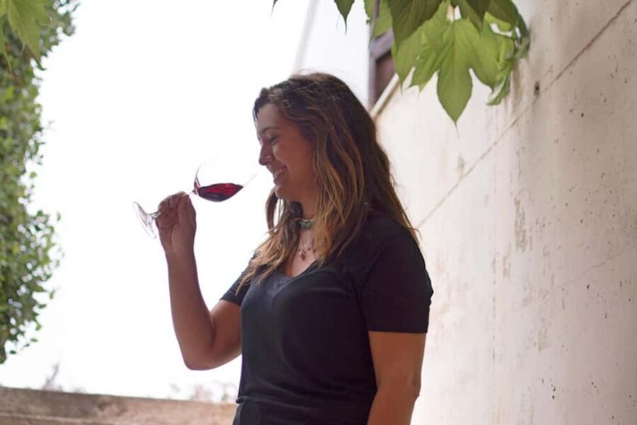 Valencia: Vineyard Tour, Local Wine Tasting and Appetizer - The Experience in Detail: What to Expect and Why It Matters