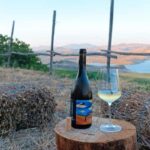 Valle del Belice: Informal and authentic tasting of artisan wines - Frequently Asked Questions