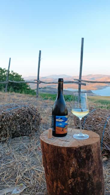 Valle del Belice: Informal and authentic tasting of artisan wines - Frequently Asked Questions