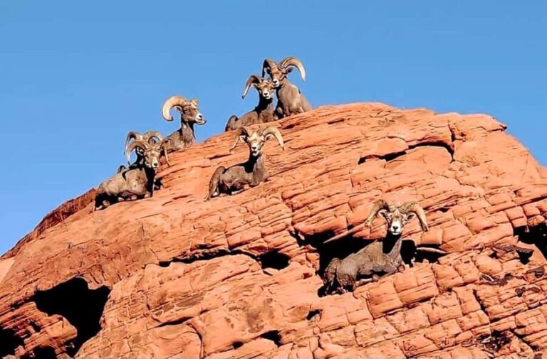 Valley of Fire - What Makes This Tour Special