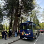 Vancouver: 24 or 48-Hour Hop-On Hop-Off Trolley Tour Pass - Route Highlights and Key Stops