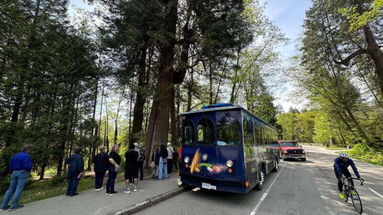 Vancouver: 24 or 48-Hour Hop-On Hop-Off Trolley Tour Pass - Route Highlights and Key Stops