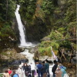 Vancouver Brunch Cruise - The Sum Up