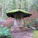 Vancouver: Capilano River Hatchery Love the Land Tour - The Itinerary: What to Expect