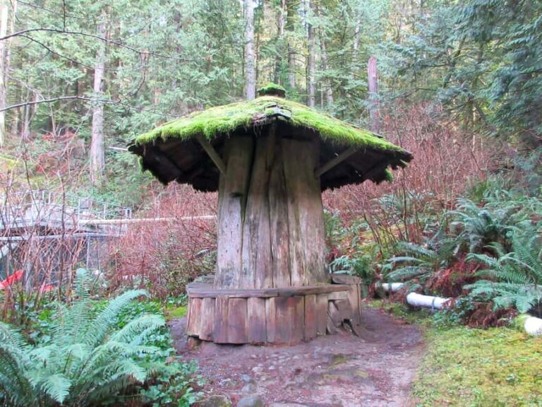 Vancouver: Capilano River Hatchery Love the Land Tour - The Itinerary: What to Expect