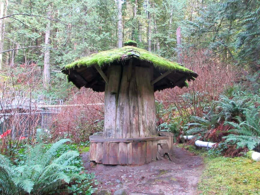 Vancouver: Capilano River Hatchery Love the Land Tour - The Itinerary: What to Expect