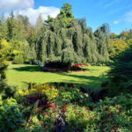 Vancouver Car Tour: See All City Attractions/Save Time&Money - Who Would Enjoy This Tour?