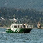 Vancouver: Catamaran Whale Watching Tour, Granville Island - Final Thoughts: Is It Worth It?