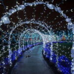 Vancouver: Christmas Lights Karaoke Trolley Tour - The Itinerary: What to Expect