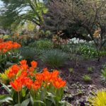 Vancouver City Tour+VipCar+Stanley Park+ChinaTown/SmallGroup - Experience Breakdown: What to Expect from This Vancouver Tour