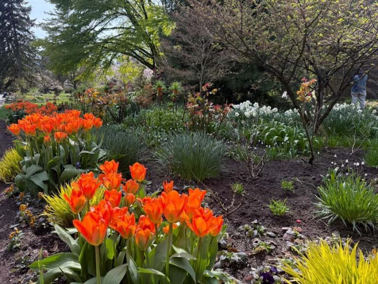 Vancouver City Tour+VipCar+Stanley Park+ChinaTown/SmallGroup - Experience Breakdown: What to Expect from This Vancouver Tour