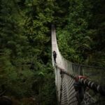 Vancouver: Guided Hiking Highlights at Grouse & Lynn Canyon - Hiking the Grouse Grind