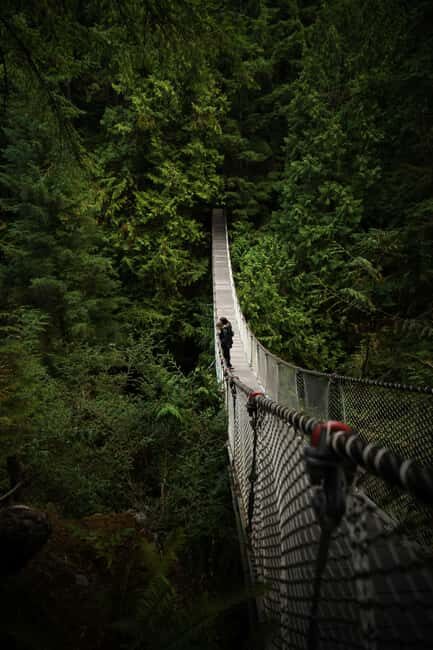 Vancouver: Guided Hiking Highlights at Grouse & Lynn Canyon - Hiking the Grouse Grind