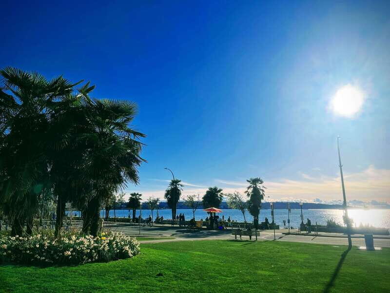 Vancouver Marvels: Private Day Tour Exploring 25 Attractions - Who is This Tour Best For?