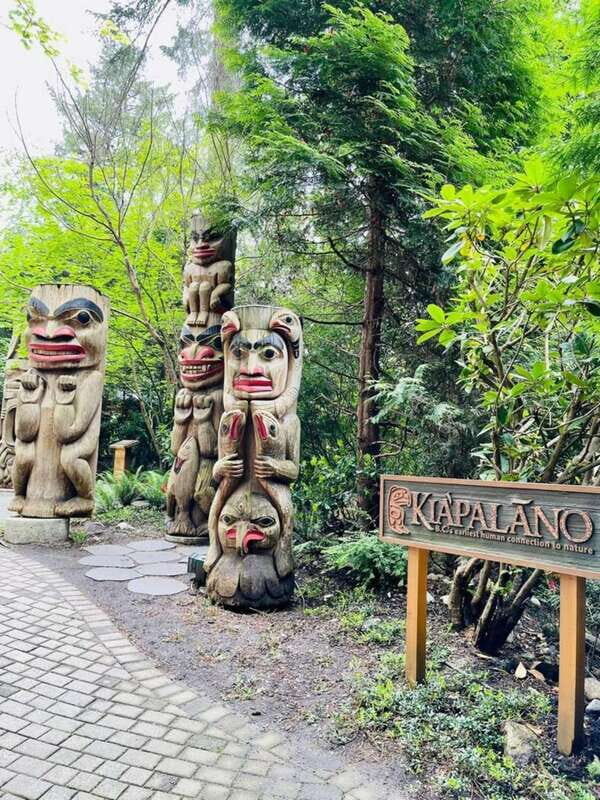 Vancouver: Private Tour City Sights, FlyOver & Capilano - Detailed Breakdown of the Itinerary