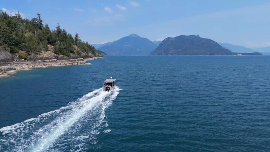 Vancouver UNESCO Biosphere Reserve Wildlife Scenic Boat Tour - Who Should Consider This Tour?