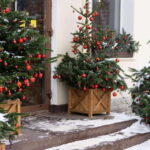 Vancouvers Festive Shoreline: A Christmas Walking Tour - The Details: Pricing, Duration, and Practical Tips