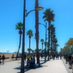 Vegan Bike Tour Albufera/Little Venice w/ Paella & Horchata - Discovering Port Saplaya – Little Venice