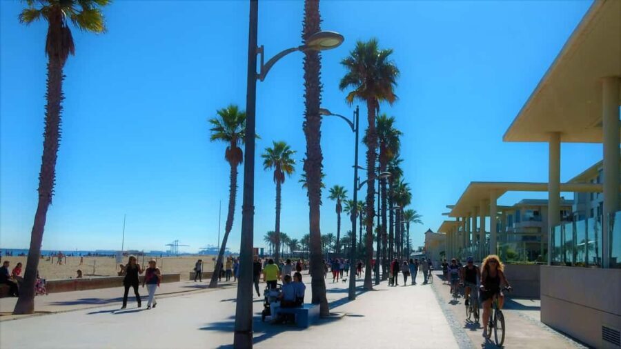 Vegan Bike Tour Albufera/Little Venice w/ Paella & Horchata - Discovering Port Saplaya – Little Venice