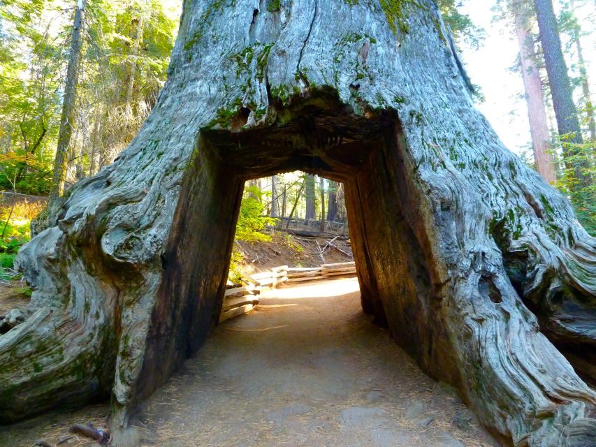 Vegas: Death Valley, Yosemite & San Francisco 4-Day Tour - Transportation, Group Size, and Value