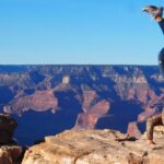 Vegas: Grand Canyon National Park South w/Lunch, Free WiFi - Why This Tour Delivers Great Value