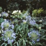 Venice: Convent Garden of Redentore Entry Ticket - Who Will Love This Experience?