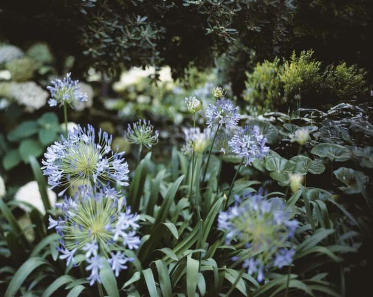 Venice: Convent Garden of Redentore Entry Ticket - Who Will Love This Experience?