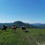 Vergato: Horseback Ride through the Emilian Hills - Who Will Love This Experience?