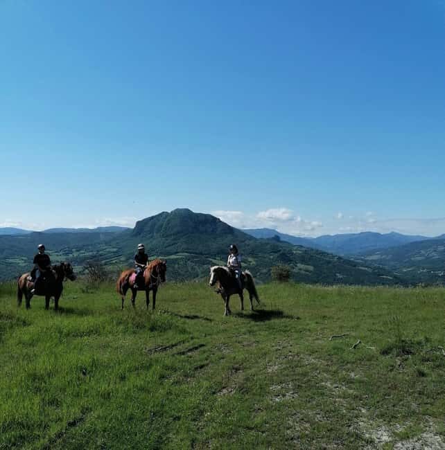 Vergato: Horseback Ride through the Emilian Hills - Who Will Love This Experience?