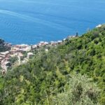 Vernazza (5 Terre): olive grove tour and oil and wine tasting - The Experience in Practice: What You’ll Love