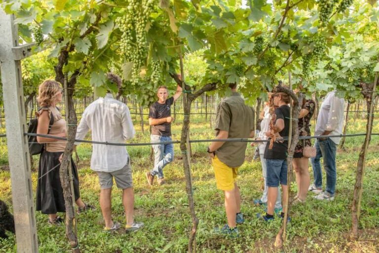 VERONA: WINE TASTING FOR THOSE WHO LOVE COMPARISONS - Who Would Love This Tour?