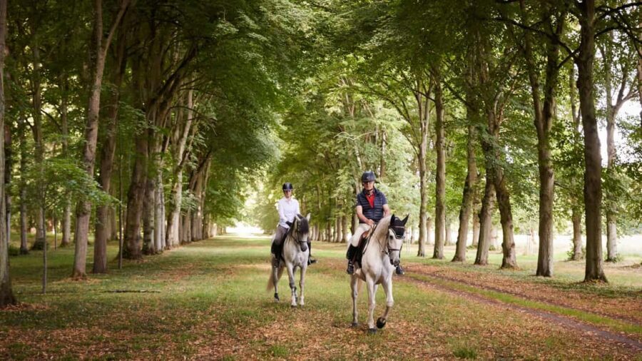 Versailles: Palace & Gardens Horseback Ride with Lunch - Practical Details: What You Need to Know