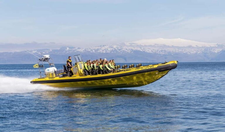 Vestmannaeyjar: 2 hour RIB boat Tour - Practical Details and Comfort