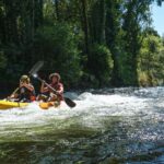 Viana do Castelo: Kayak Adventure on the Lima River - The Route and Experience