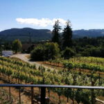 Victoria, BC: Food & Wine Tour to the Cowichan Valley - Transportation and Group Size