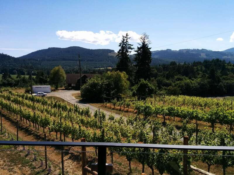 Victoria, BC: Food & Wine Tour to the Cowichan Valley - Transportation and Group Size  