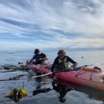 Victoria: Guided Kayak Tour Adventure - The Experience from a Reviewers Perspective