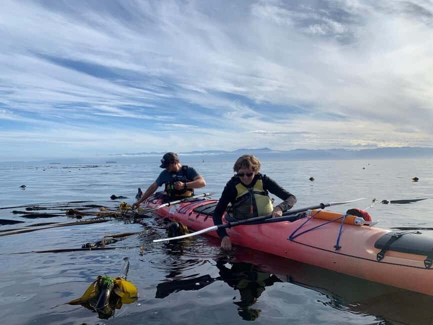 Victoria: Guided Kayak Tour Adventure - The Experience from a Reviewers Perspective