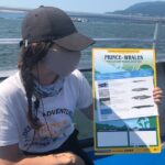 Victoria Highlights & Whale Watching Tour - Deep Dive: Why This Tour Offers Good Value