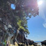 Victoria: Old Growth Rainforest Canyon Waterfall and Beaches - Final Words