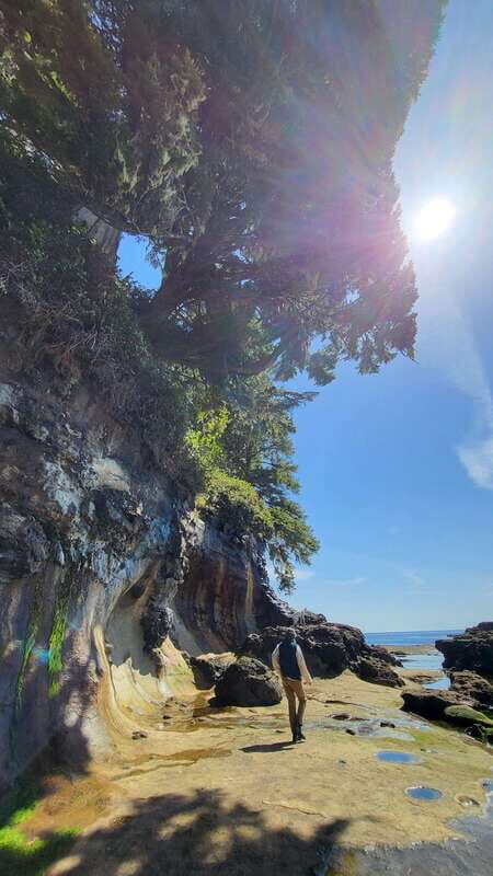 Victoria: Old Growth Rainforest Canyon Waterfall and Beaches - Final Words