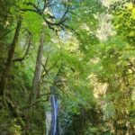 Victoria Waterfall, Skywalk, Beach Picnic, Castle and Whales - What Makes This Tour Stand Out