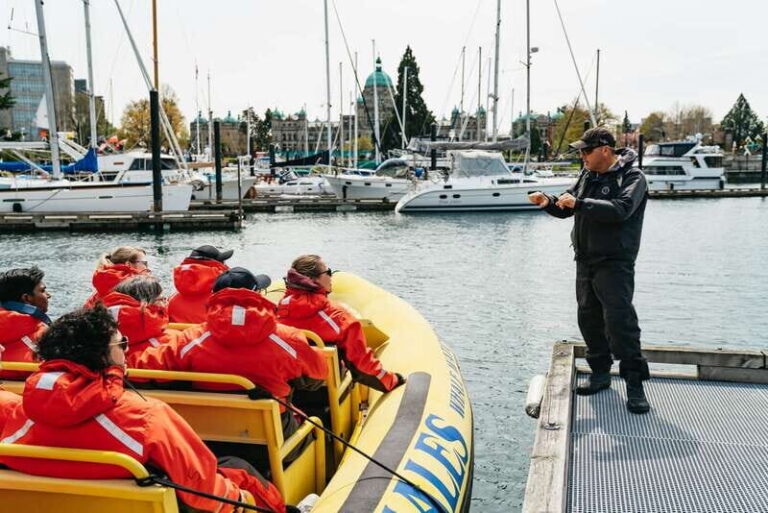 Victoria: Whale Watching Adventure in a Zodiac Boat - The Value of This Tour